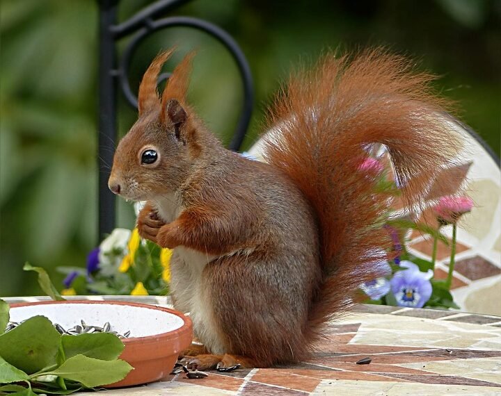 timeline of major film technological innovations