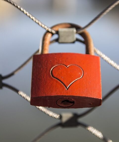 how documentaries influence public perception