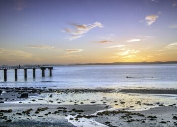 rise of french new wave filmmaking