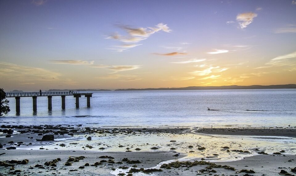 rise of french new wave filmmaking