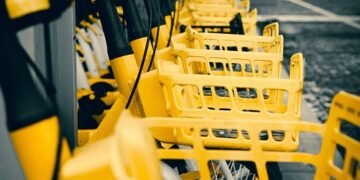 steps of the water cycle and its importance