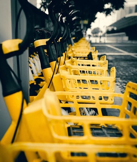 steps of the water cycle and its importance