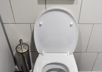 how documentaries influence public perception