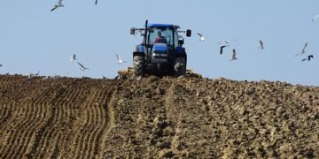 role of film composers in storytelling