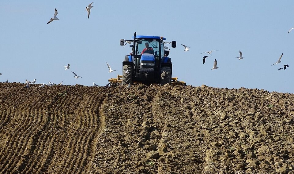 role of film composers in storytelling