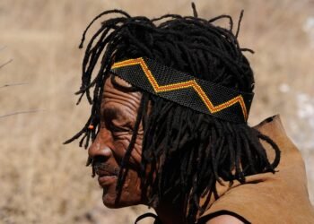 role of film critics in shaping cinema culture