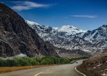 how horror films evolved across decades