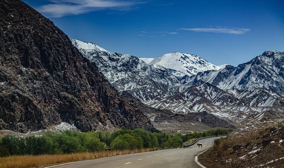 how horror films evolved across decades