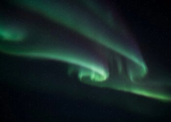 cinematic contributions of akira kurosawa