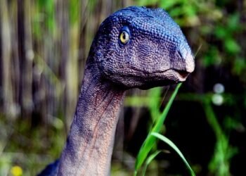 history of british cinema evolution