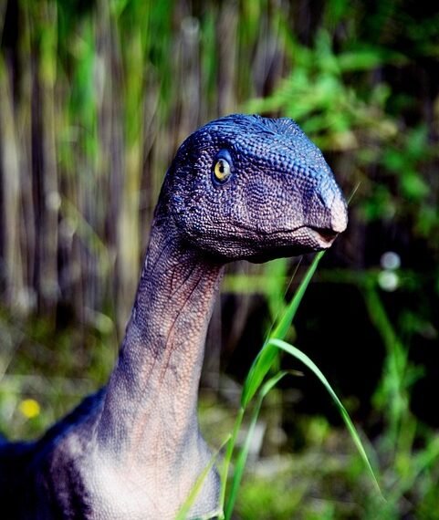 history of british cinema evolution