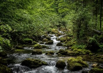 origin of film noir and stylistic elements