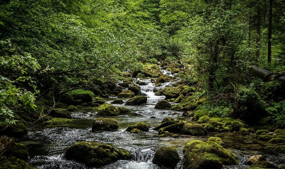 origin of film noir and stylistic elements