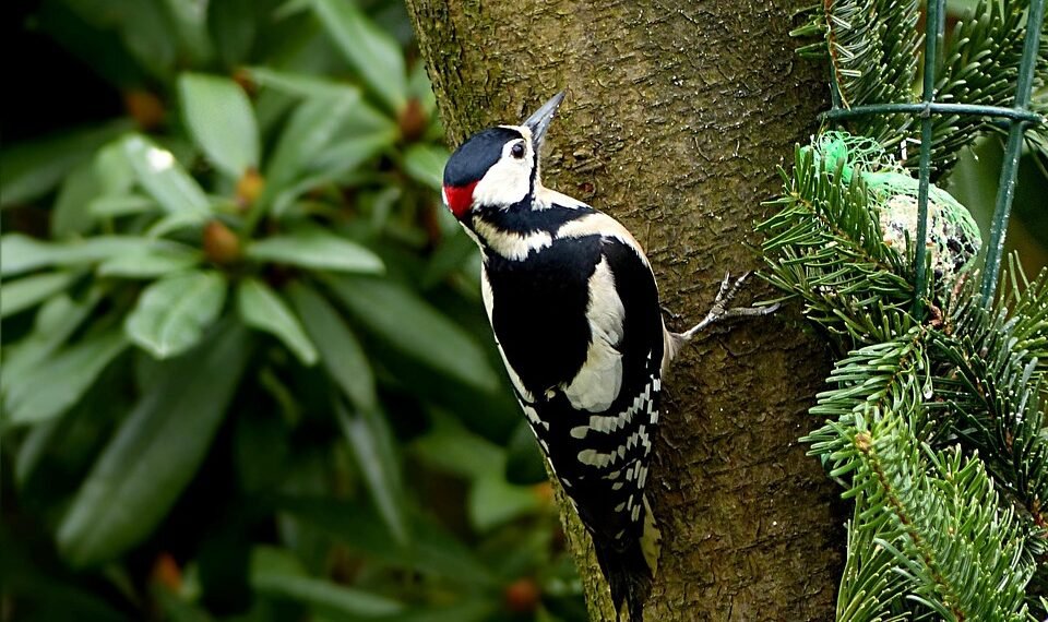 role of producers in shaping major films