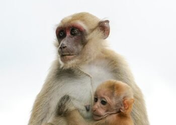 history of james bond film franchise