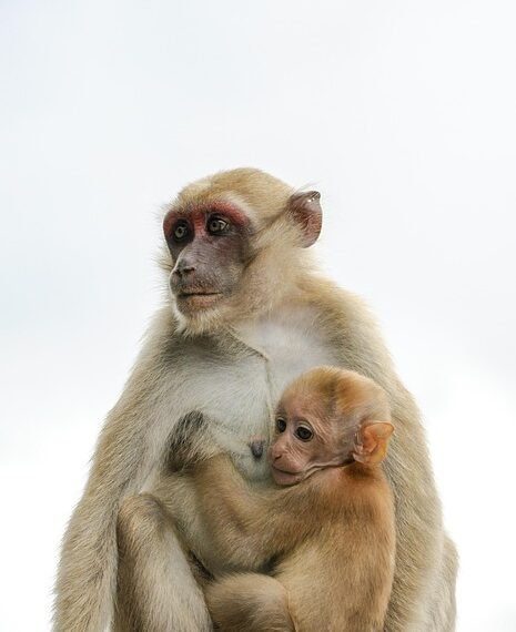 history of james bond film franchise