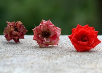 evolution of movie marketing and trailers