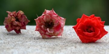 evolution of movie marketing and trailers