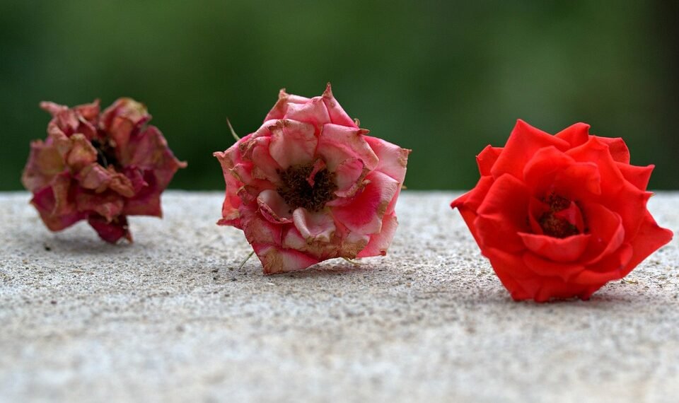 evolution of movie marketing and trailers