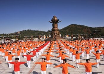 how DNA replication works step by step