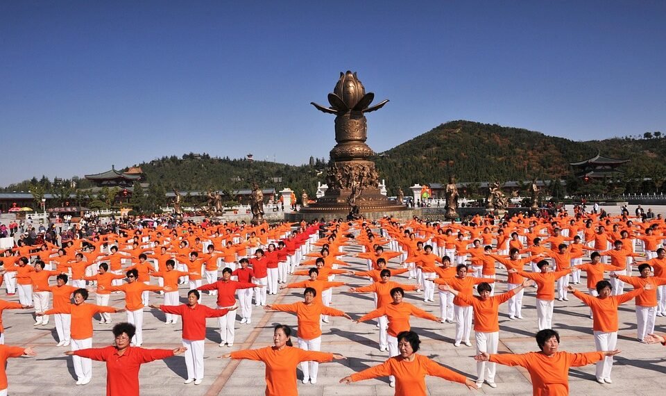 how DNA replication works step by step