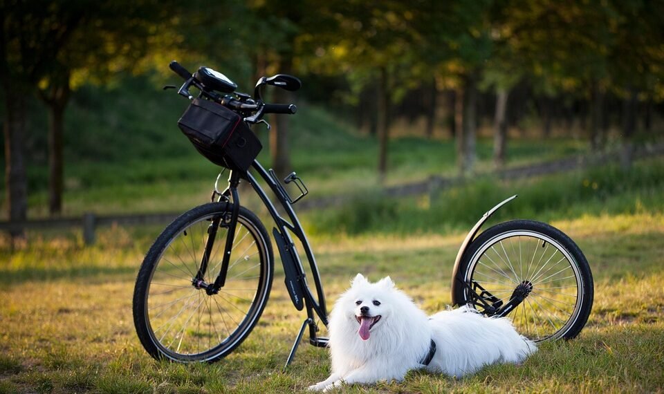 basics of sports psychology for beginners