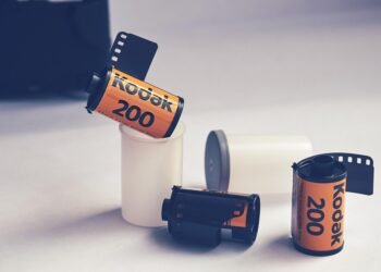 role of film critics in shaping cinema culture