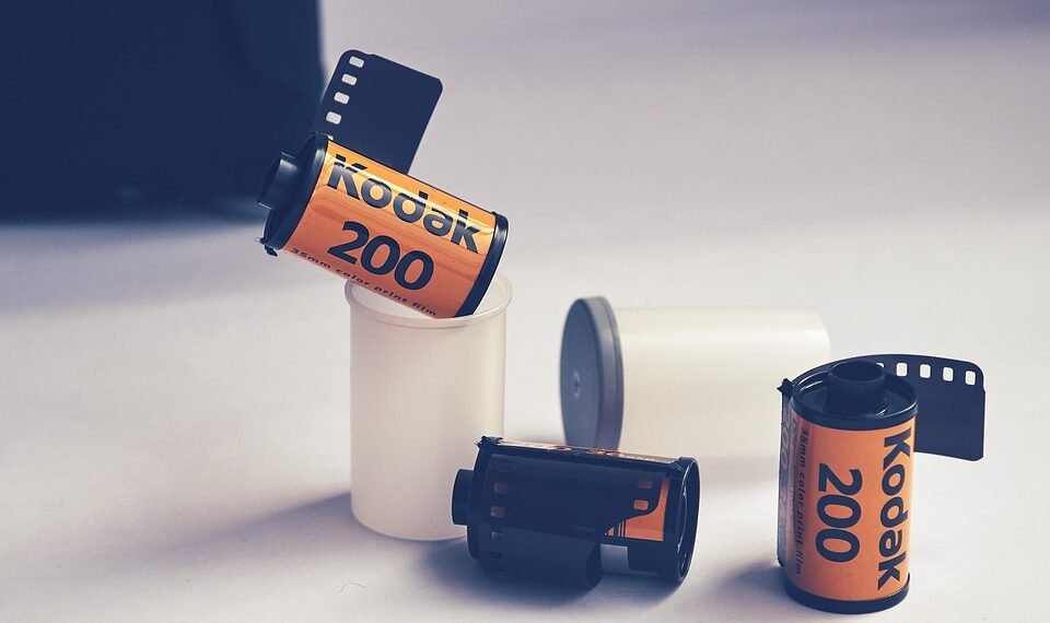 role of film critics in shaping cinema culture