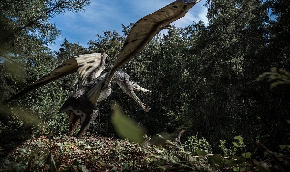 evolution of film criticism and reviewers