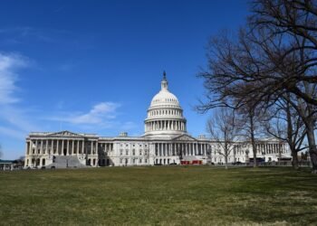 what is representative democracy