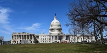 what is representative democracy
