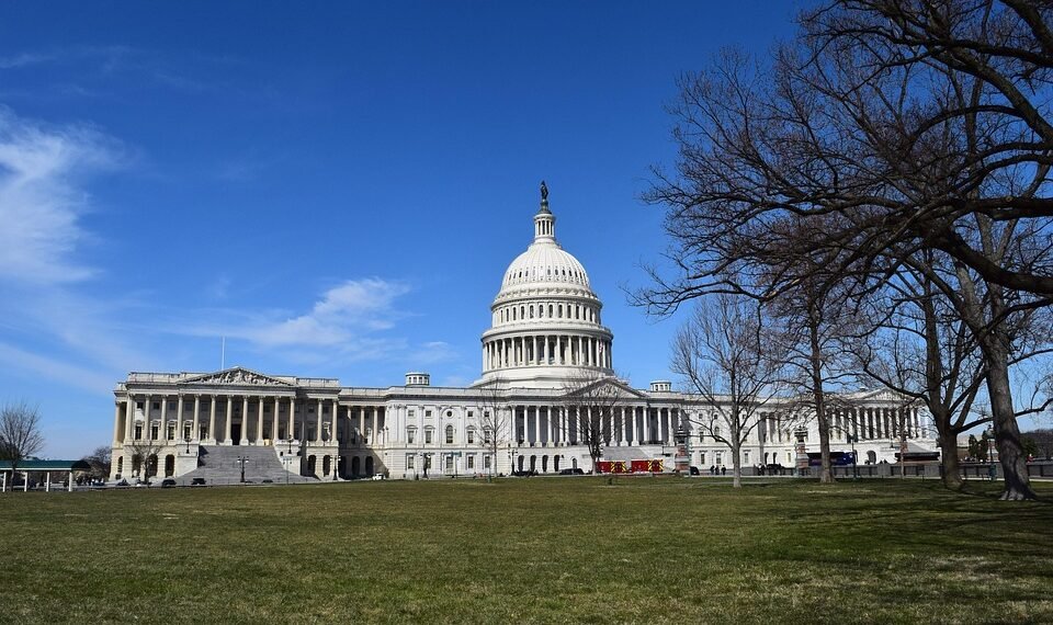 what is representative democracy