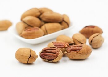 role of RNA in protein synthesis explained