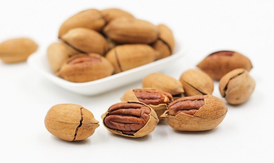 role of RNA in protein synthesis explained