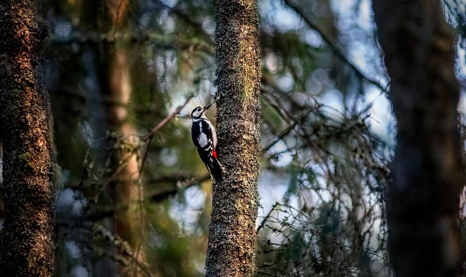 role of producers in shaping major films