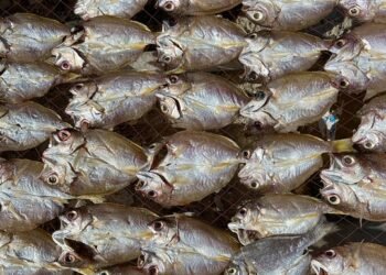 importance of film preservation and restoration