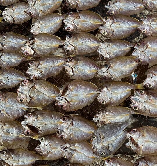 importance of film preservation and restoration