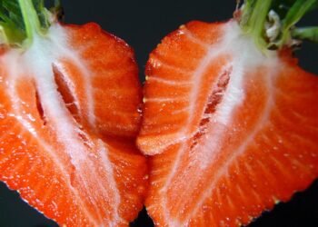 how horror films evolved across decades