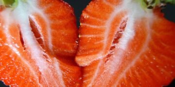 how horror films evolved across decades