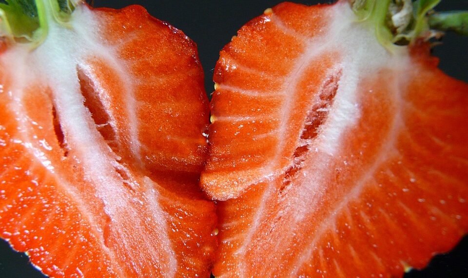 how horror films evolved across decades