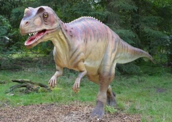 evolution of movie marketing and trailers