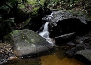 cinematic techniques used in classic films