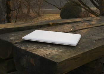 rise of independent films worldwide