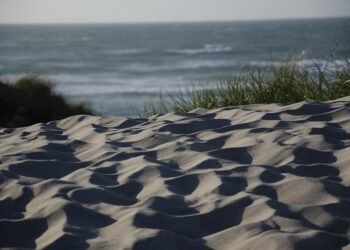 cinematic impact of true story adaptations