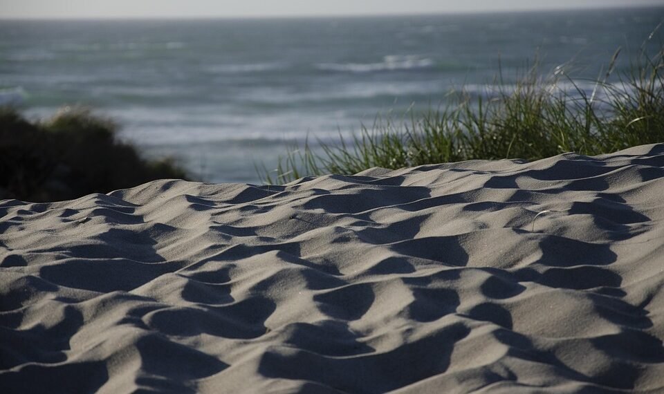 cinematic impact of true story adaptations