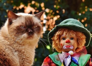 history of british cinema evolution