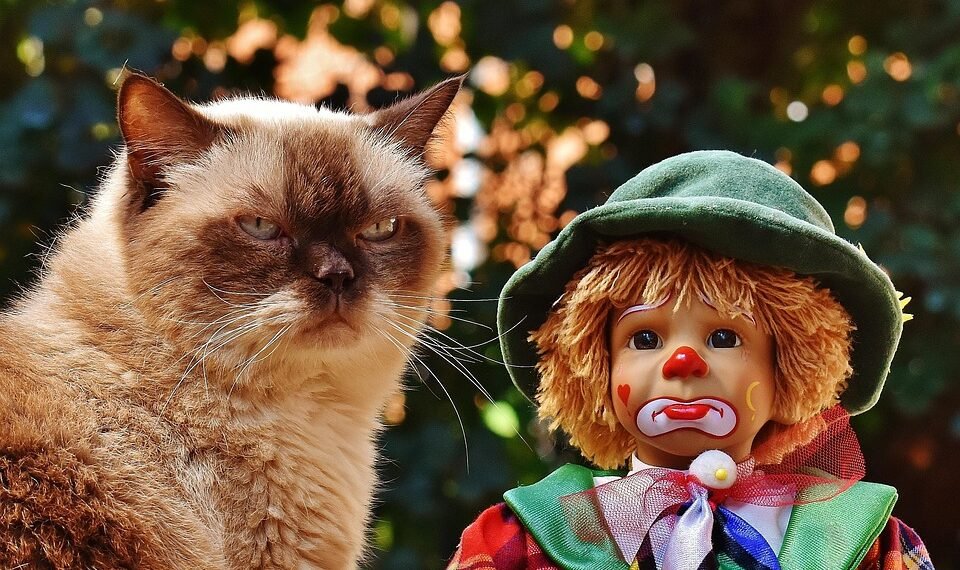 history of british cinema evolution