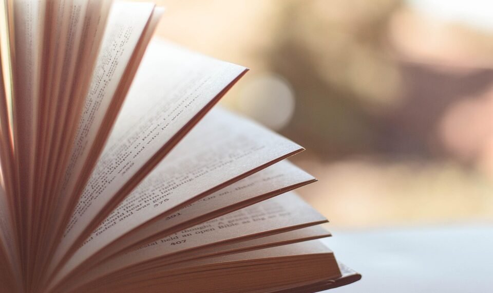 importance of financial literacy for beginners