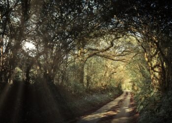 how laws are made in the united kingdom