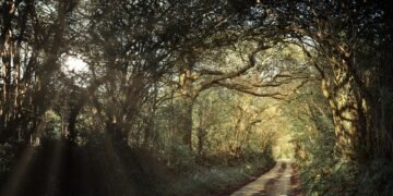 how laws are made in the united kingdom